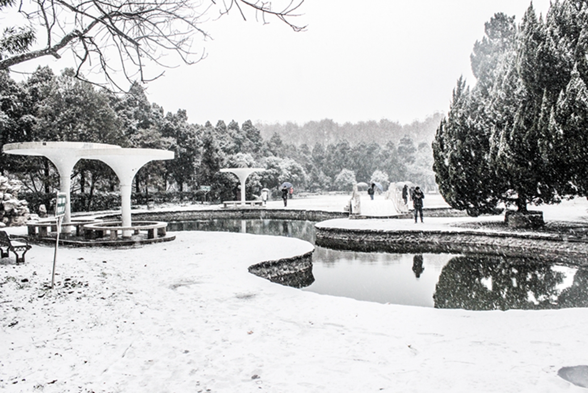 东花园雪景（黄浩翔 摄）